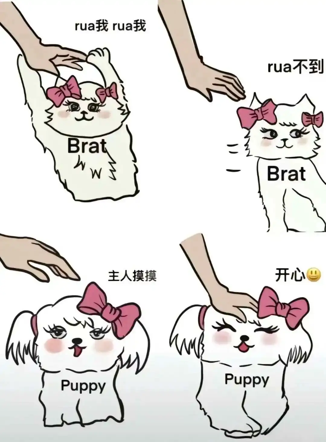 西檬之家-SM亚文化新人指南：字母圈核心术语解析
