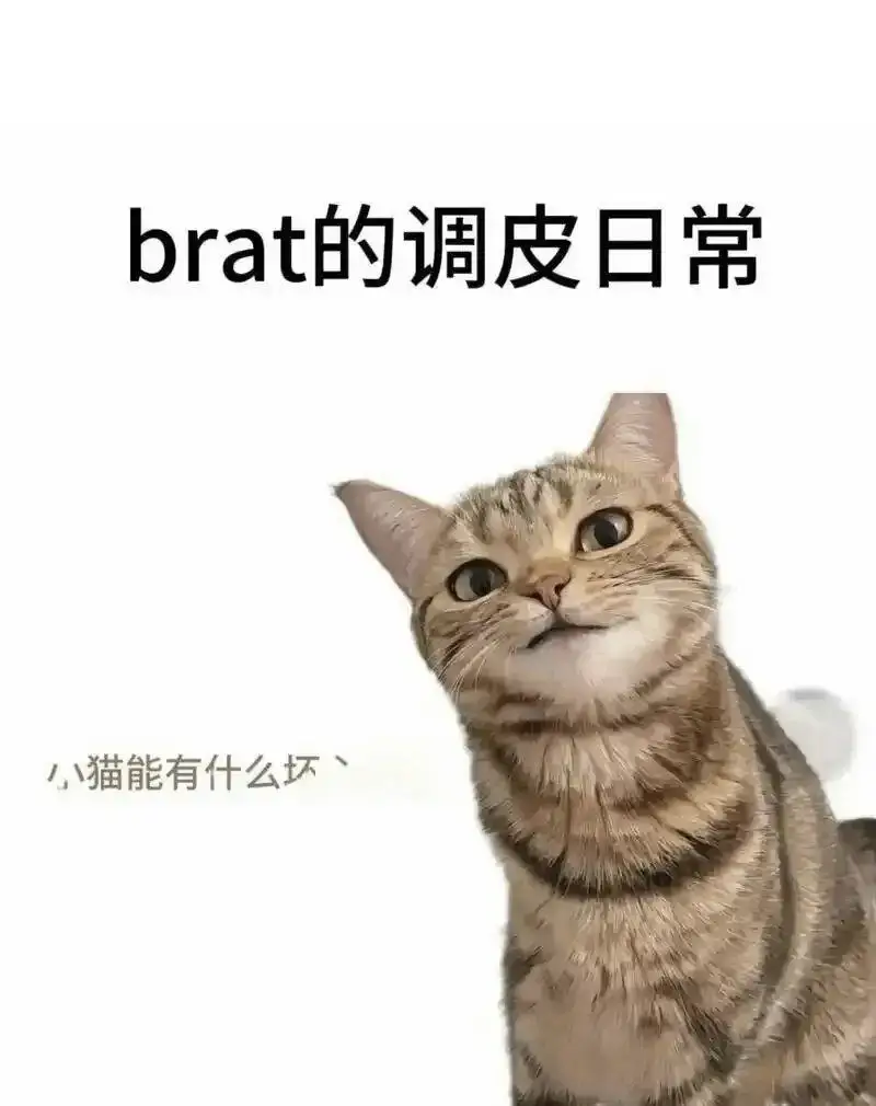 西檬之家-PE是什么？字母圈新人必备指南