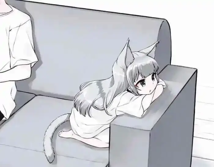 西檬之家-k9犬系是什么？