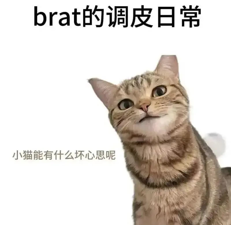 西檬之家-BD是什么？字母圈新人入圈指南