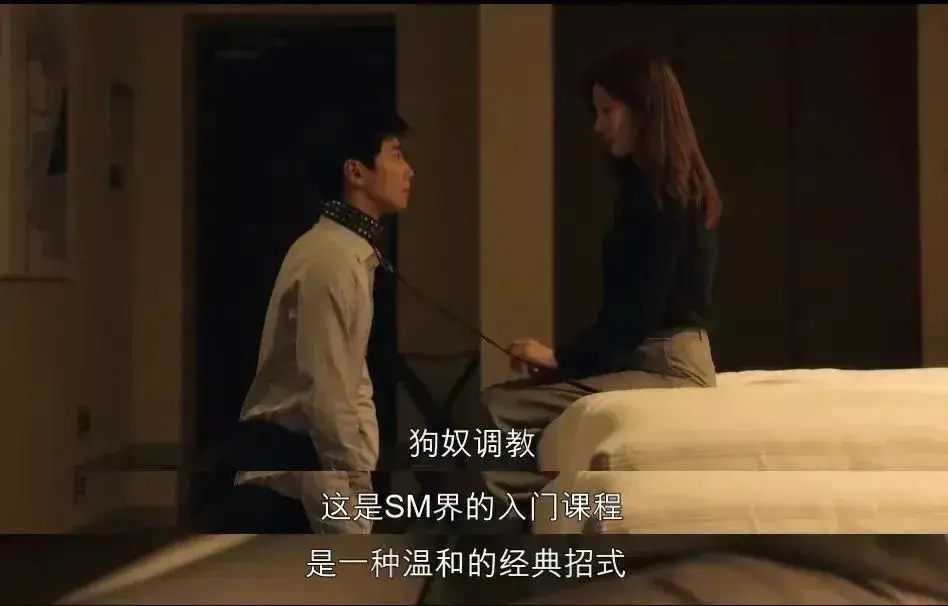 西檬之家-字母圈新人入圈指南：从BD到SSC原则全解析