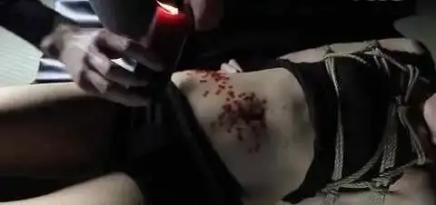 西檬之家-女王在字母圈的角色：BDSM权威指南
