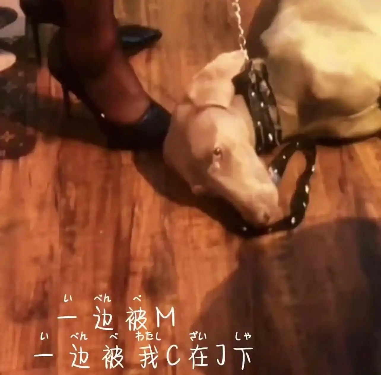 西檬之家-字母圈新人如何入圈？BDSM基础知识与术语解析