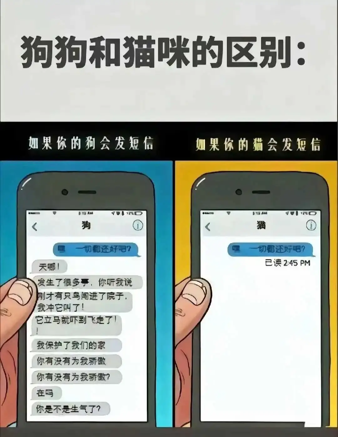 tickle - 微信图片_20250713011414
