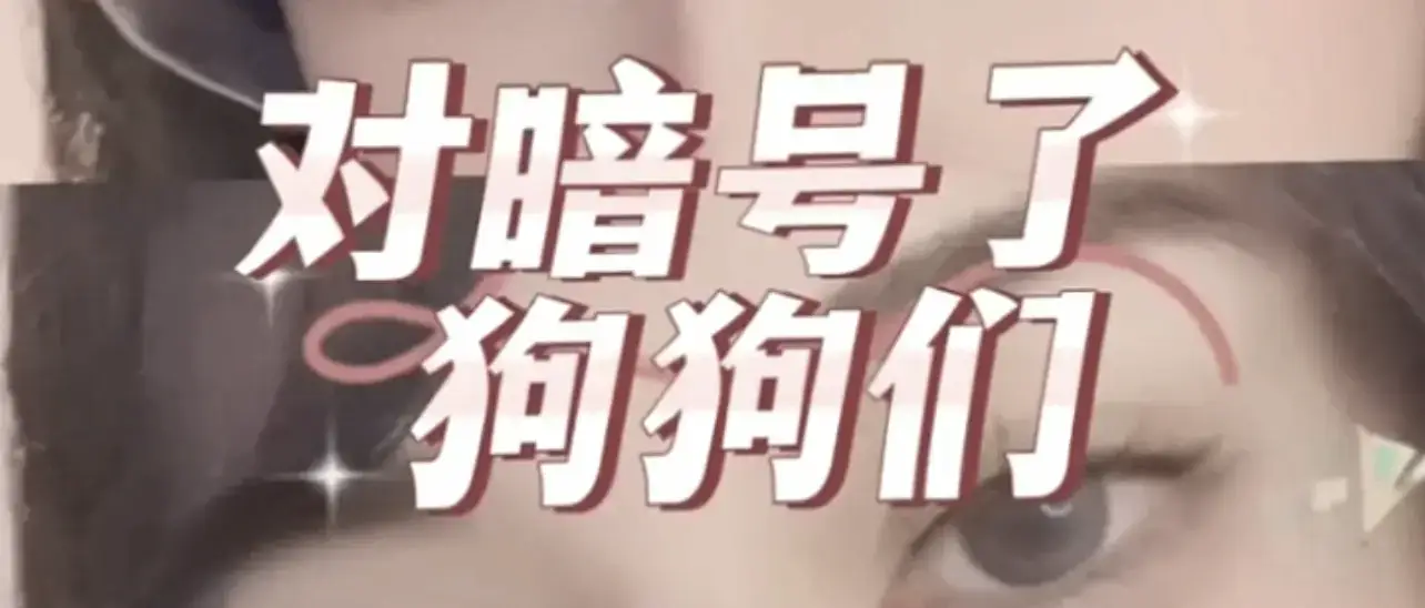 【西檬之家】字母圈新人入圈指南：从BDSM基础到SSC原则