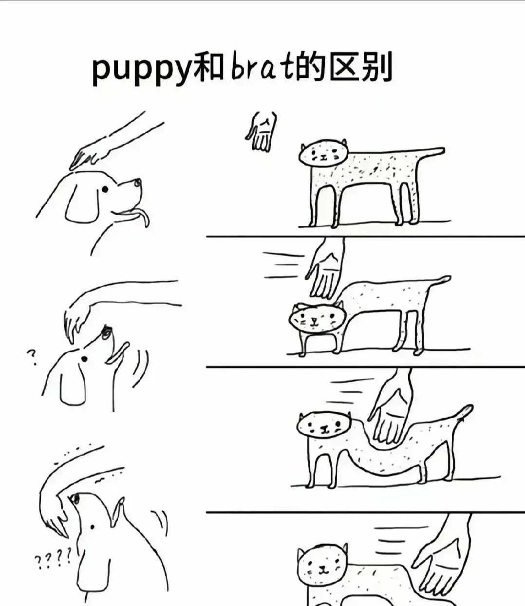 西檬之家-BDSM安全入圈指南：从术语到原则